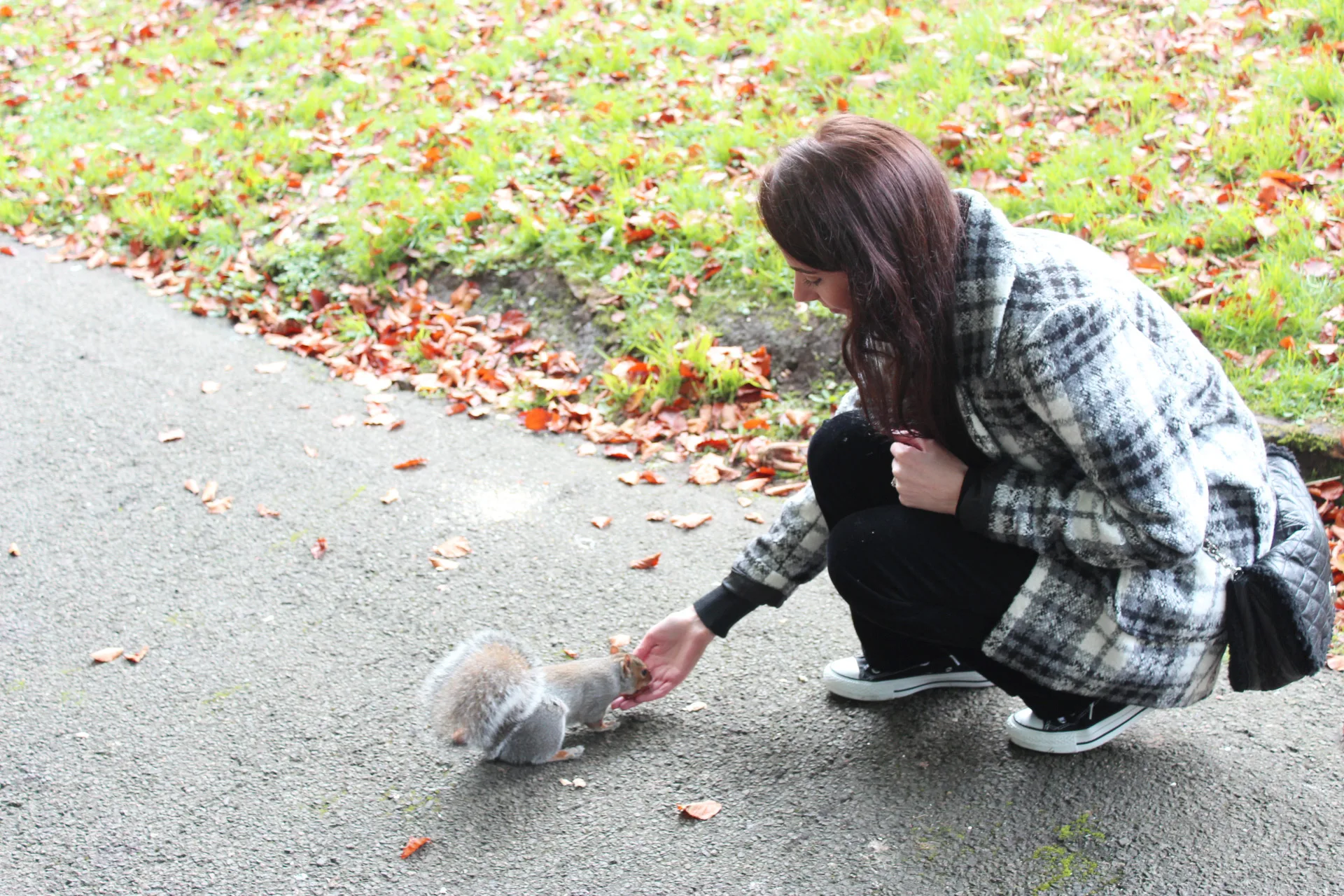 Feeding squirrels